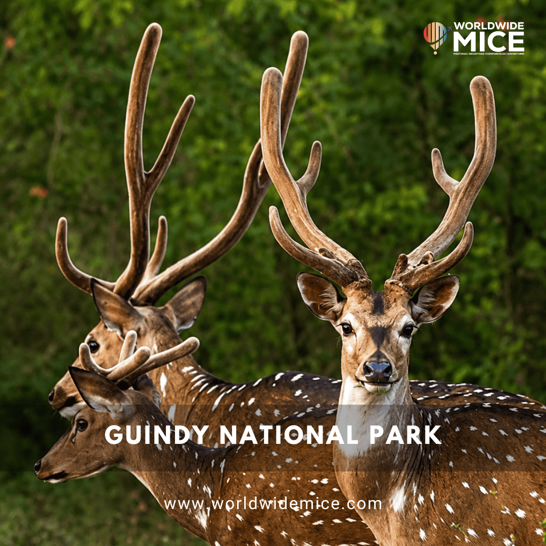 Guindy National Park